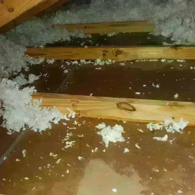 Attic Water Damage in Enfield, CT